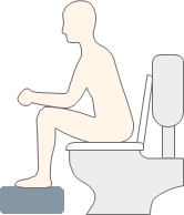 A cartoon illustration of the correct toilet position, detailed in the pages content