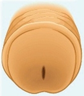 A cartoon image of a normal meatus