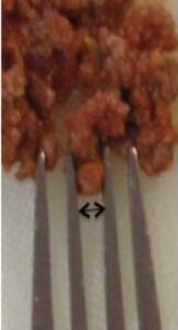fork pressure test