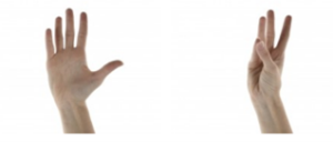 Thumb opposition