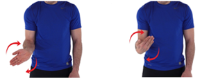 wrist rotation