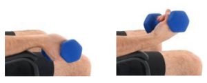 Wrist and forearm strength 