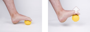 foot exercise
