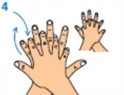 rub back of each hand with the palm of the other 