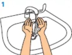 wash hand with water