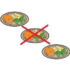 meal picture