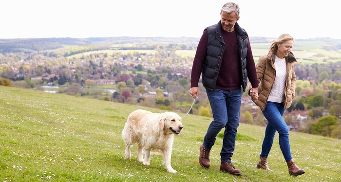 Couple walking dog on a grassy hill