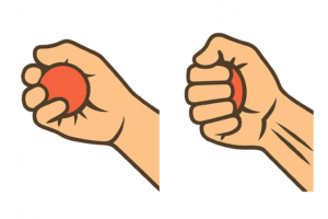 Illustration of the grip strength exercise