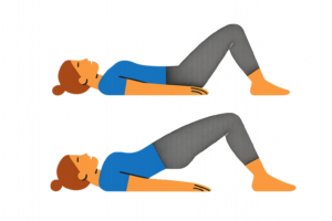 Illustration of the gluten bridge exercise