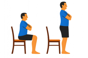 Illustration of the sit to stand exercise