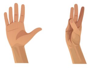 Illustration of the thumb opposition exercise