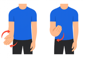 Illustration of the wrist rotation exercise