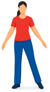 Illustration of the weight transference exercise