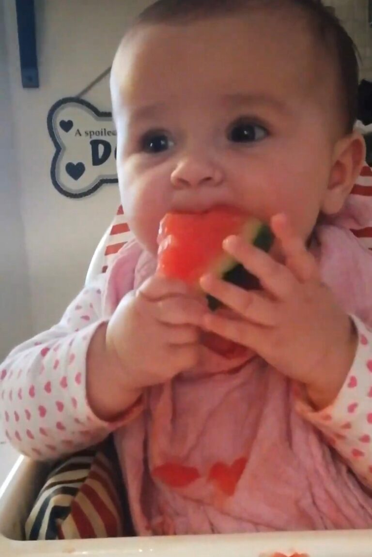 Introducing solid food 